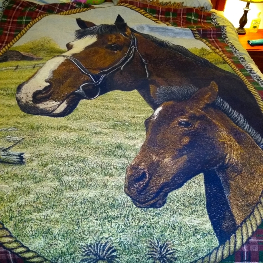 Horses